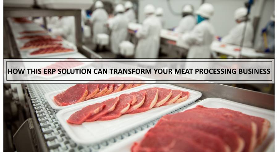 How Meat Processing ERP Solution Can Transform Your Meat Processing Business