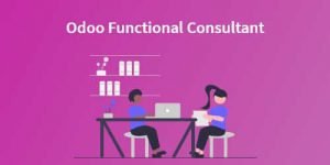 odoo consultants