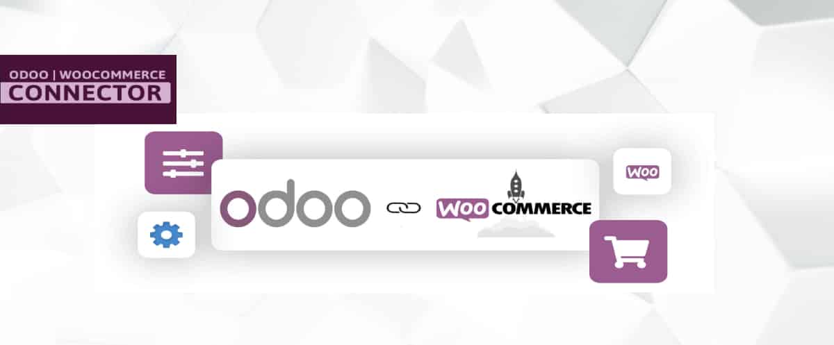 Odoo WooCommerce integration